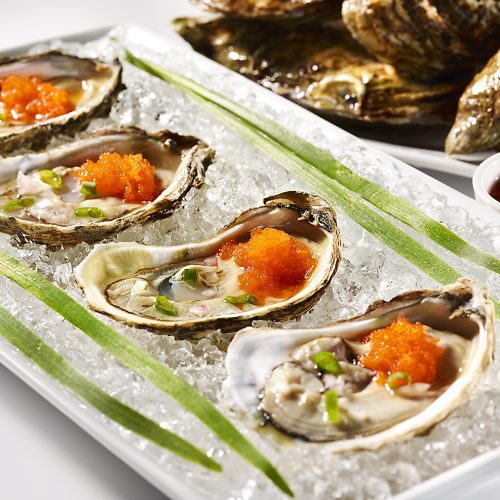 NY_CT_oysters_half shell_caviar_seafood_jens johnson_photography_food