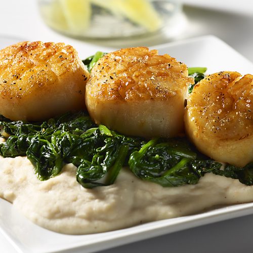 NY_CT_scallops_seared_spinach_roesmary_seafood_jens johnson_photographer_food
